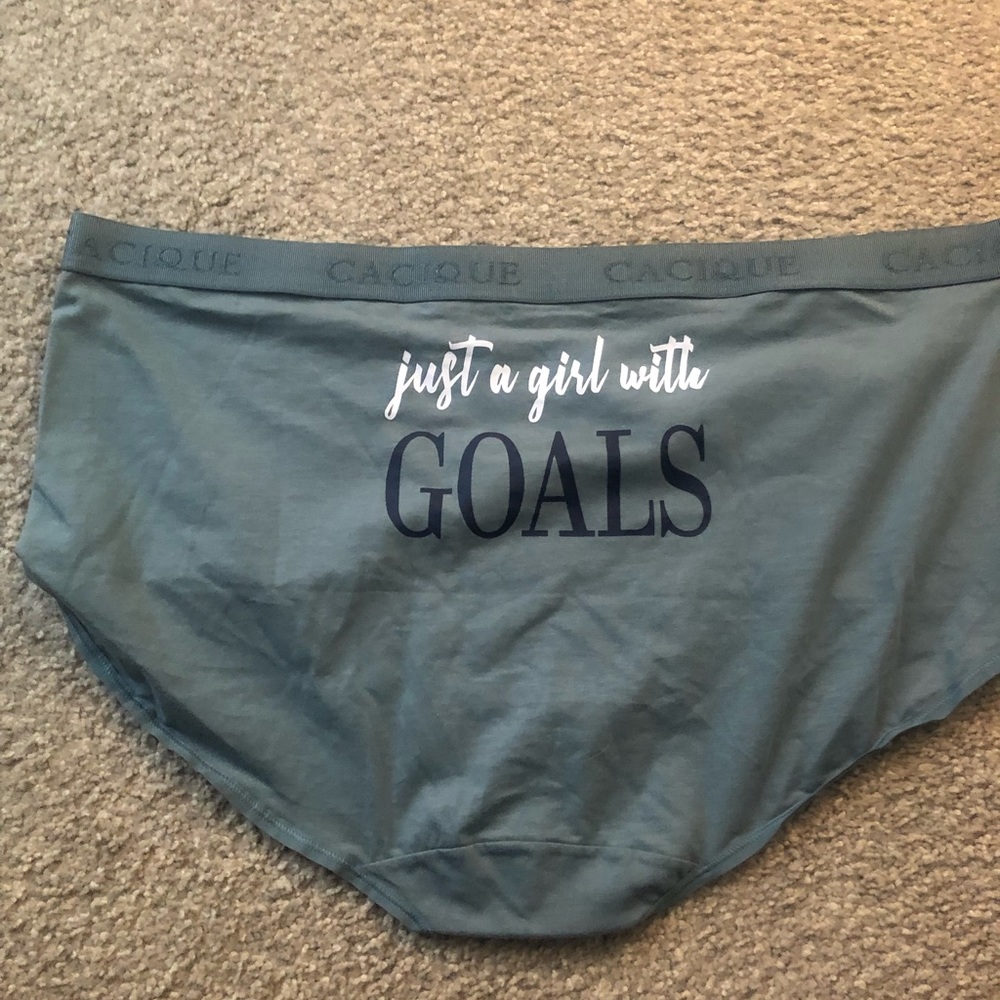 Lane Bryant Cotton Full Brief 22/24 NWT